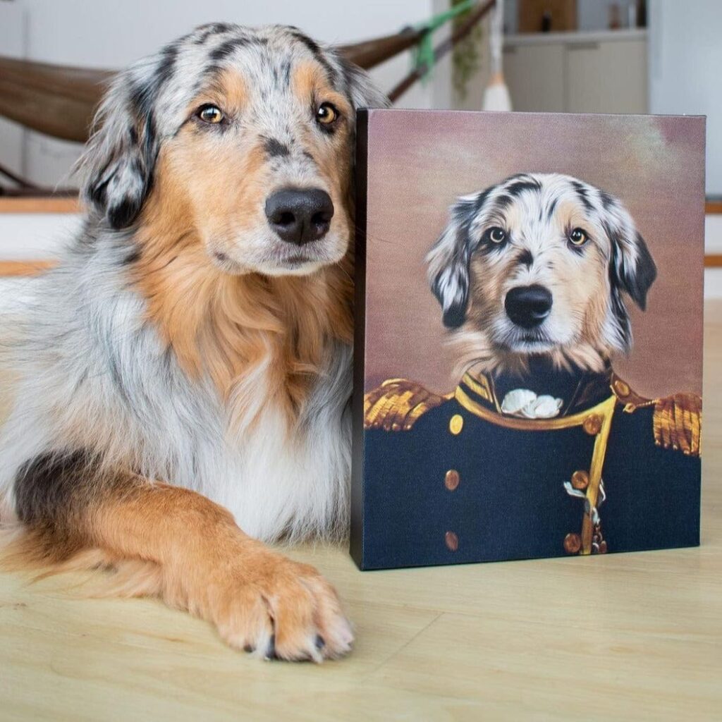 custom pet portraits